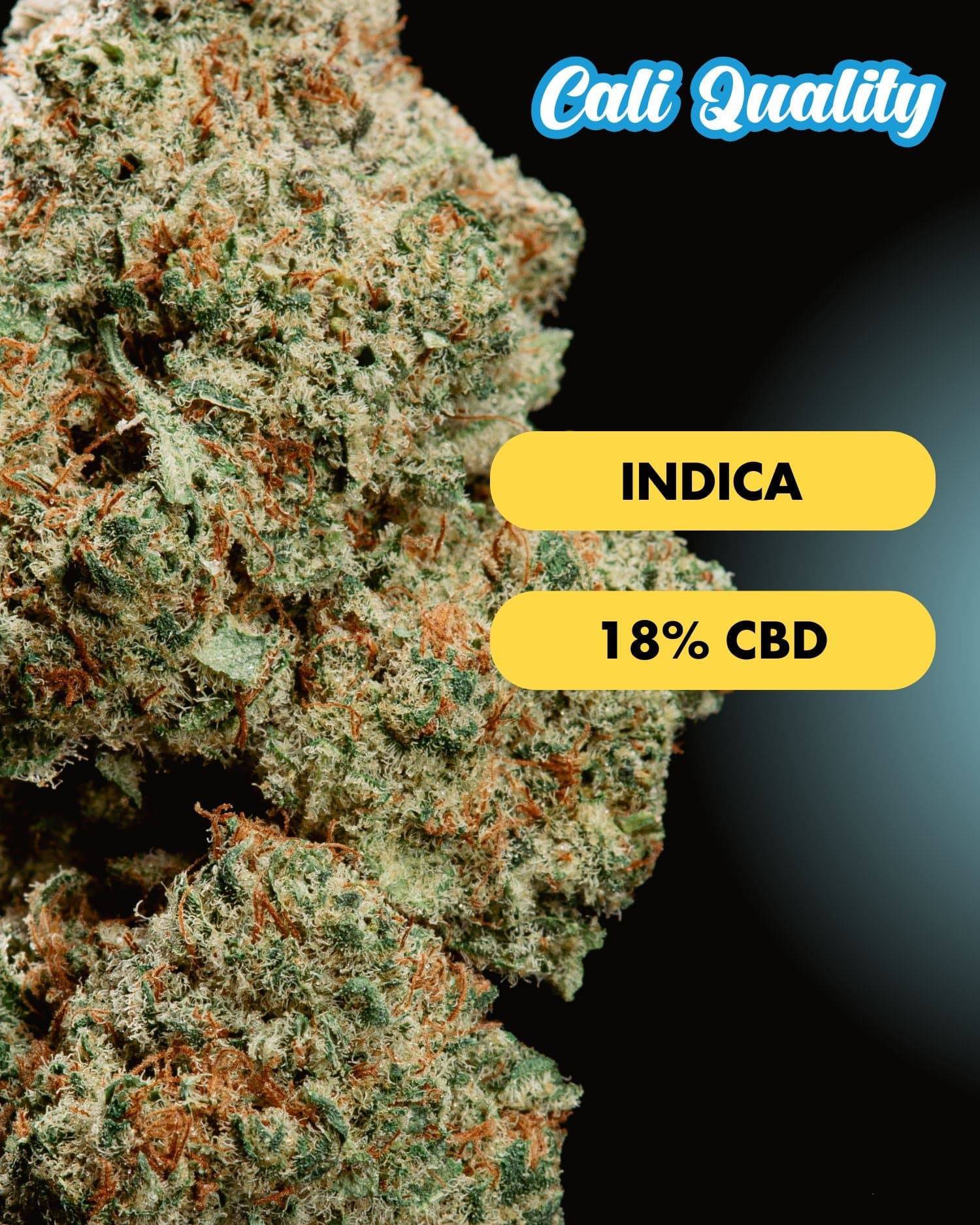 CBD Blüten Probierset | 13 Sorten - OnlyGrams