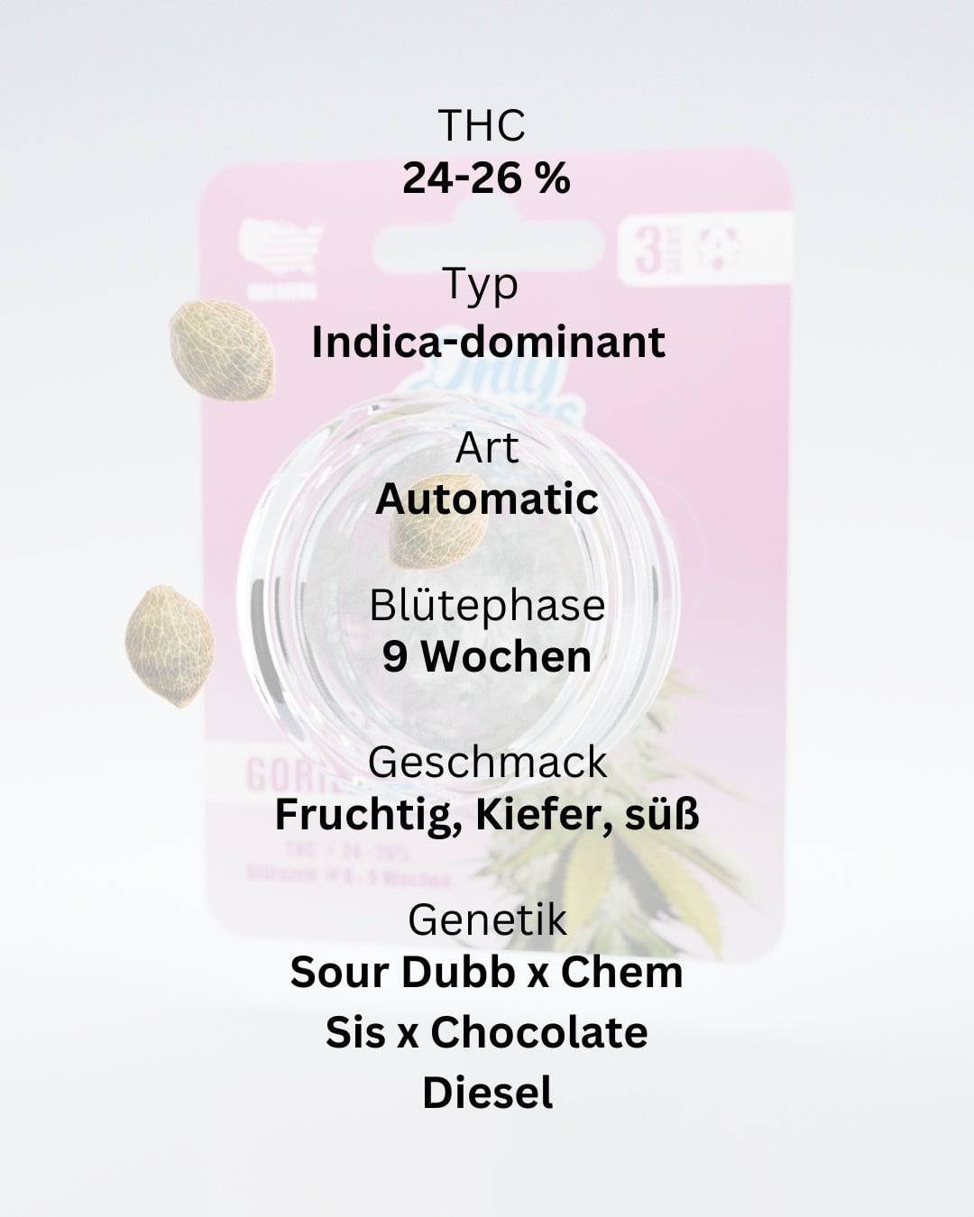 Gorilla XL THC-Seeds - OnlyGrams
