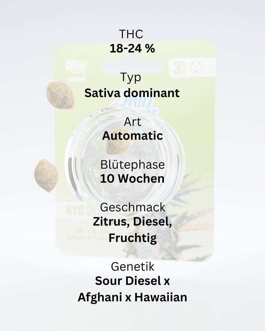NYC Diesel THC-Seeds - OnlyGrams